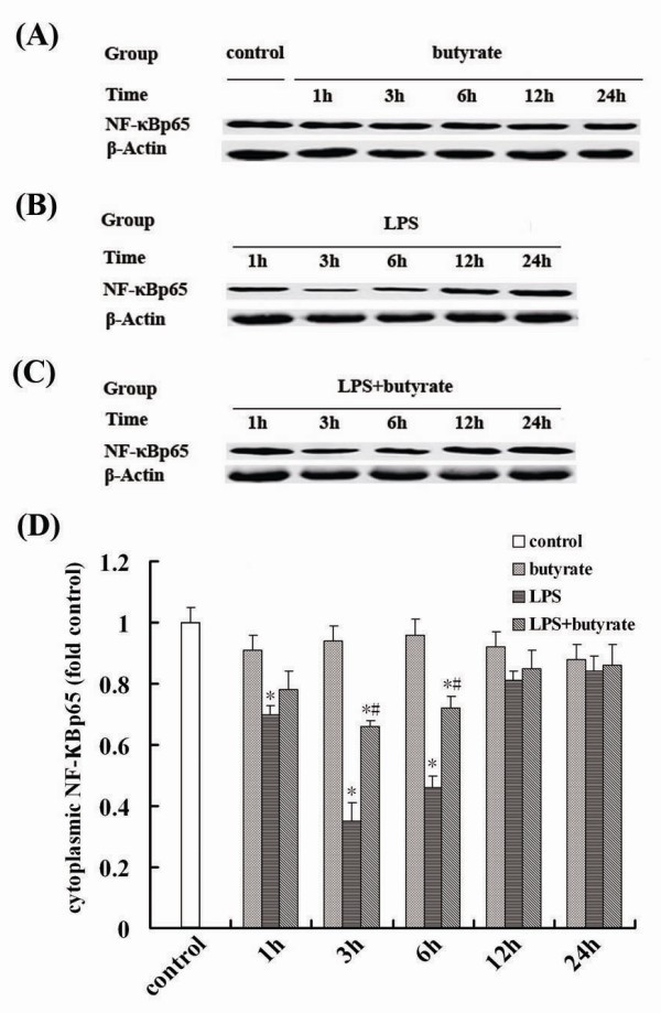 figure 6_876