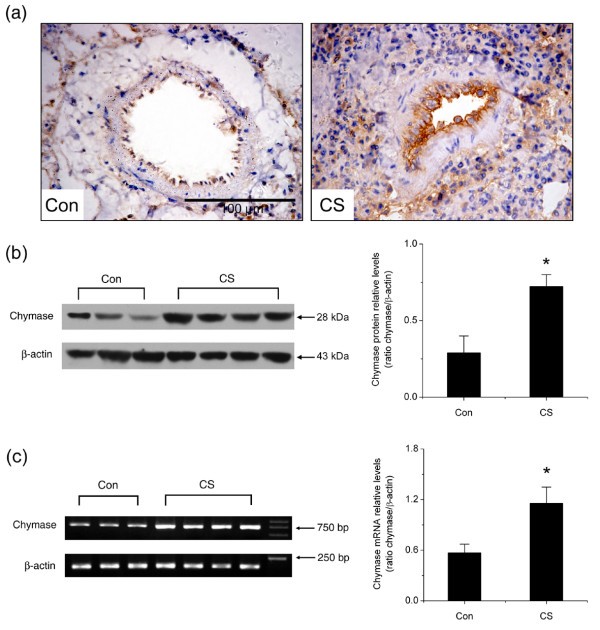 figure 2_879