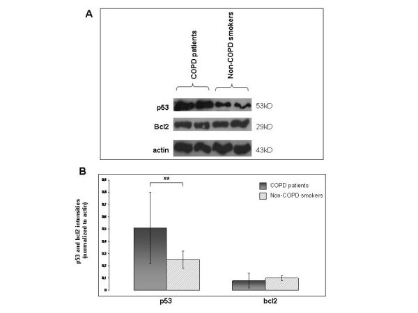 figure 2_889