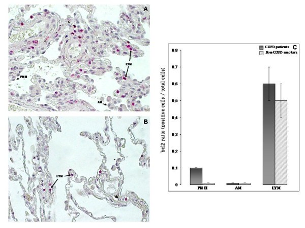 figure 4_889