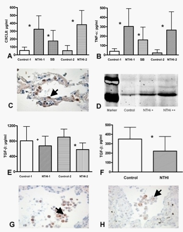 figure 4_910