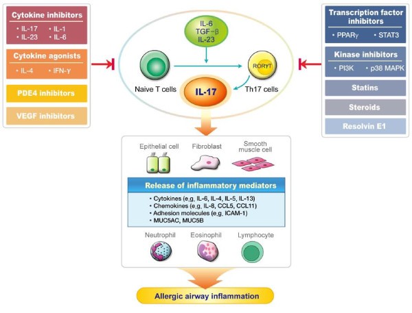 figure 1_921