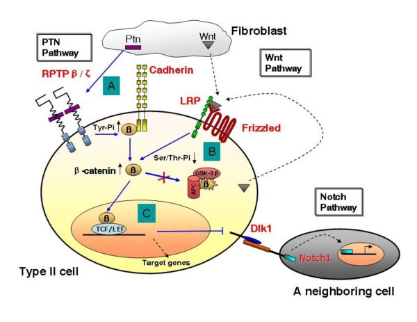 figure 1_923