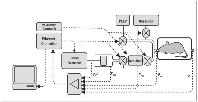 figure 1_925