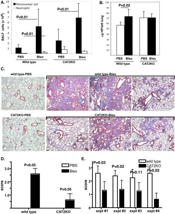 figure 4_930