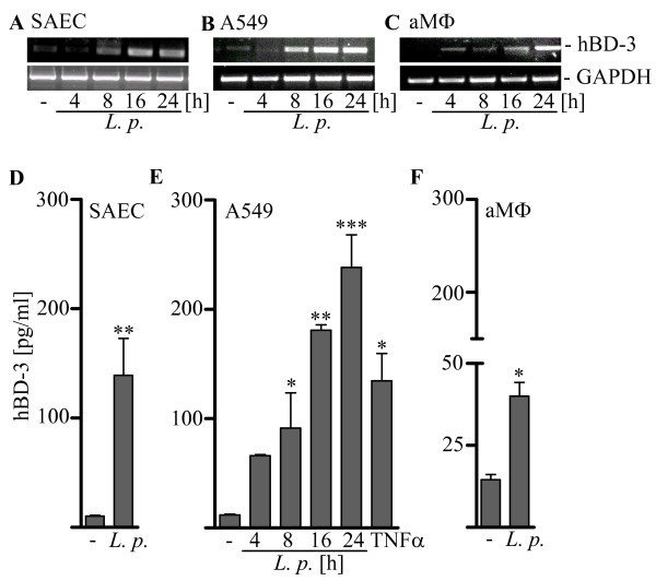 figure 1_936