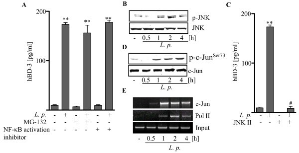 figure 4_936