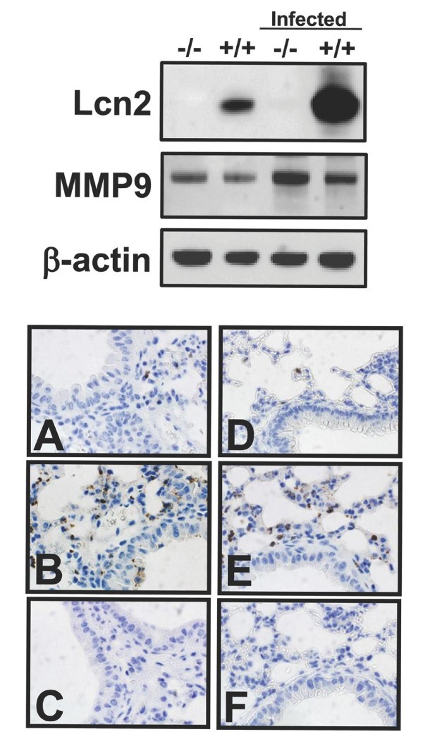 figure 2_939