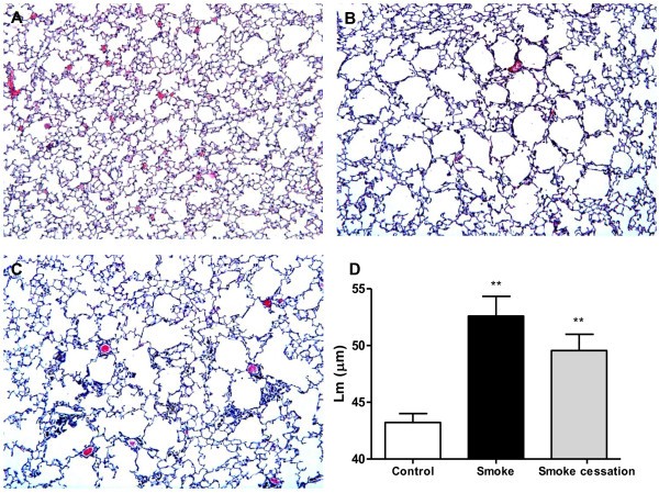 figure 1_942