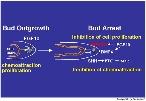 figure 1_199