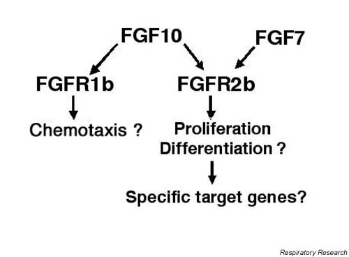 figure 2_199