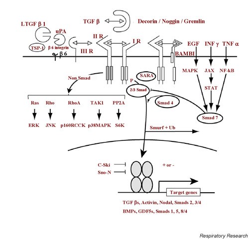 figure 4_199