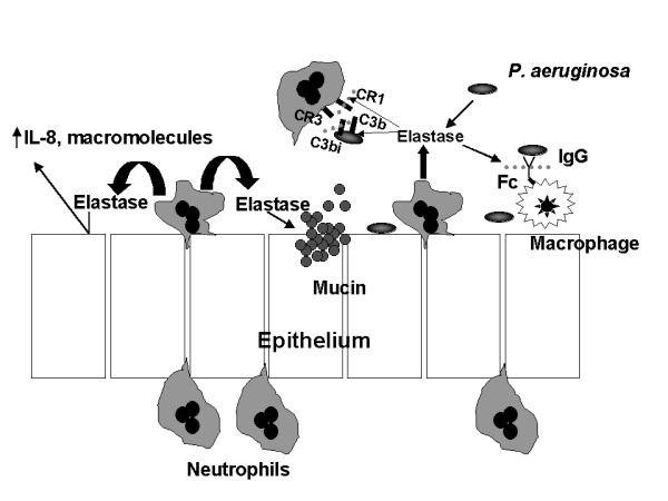 figure 3_202