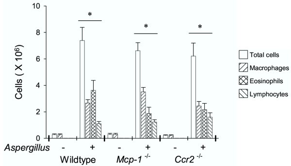 figure 1_221