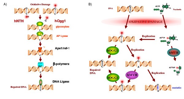 figure 1_225