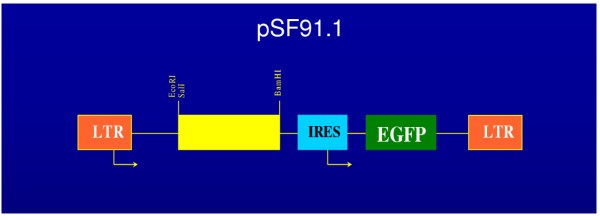 figure 2_225