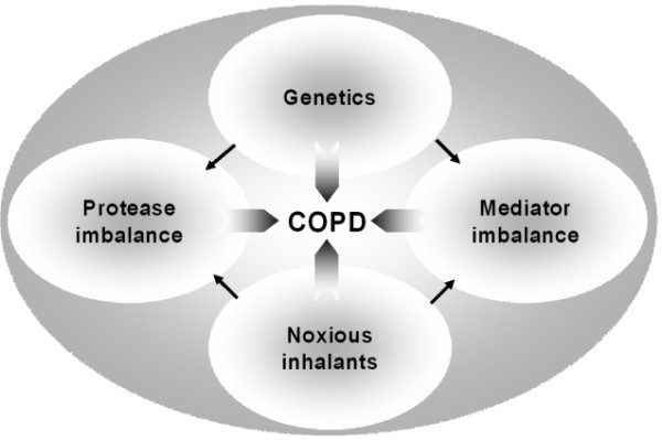 Models of chronic obstructive disease | Respiratory Research | Full Text