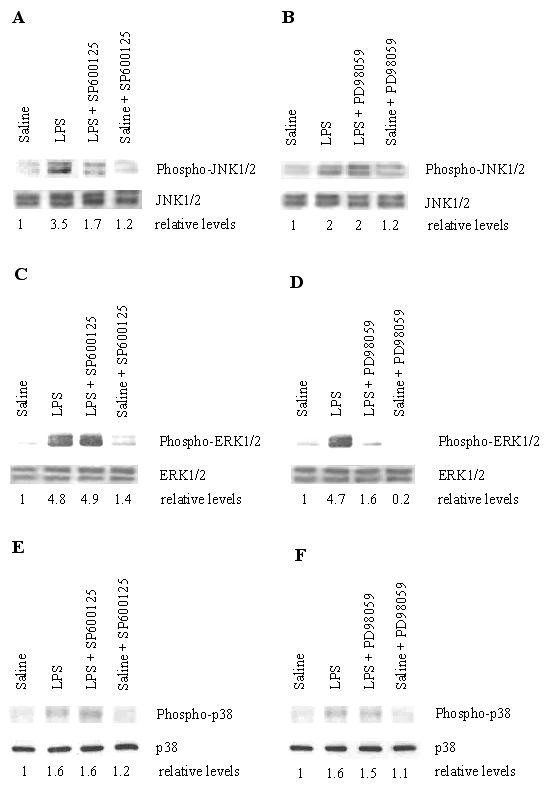 figure 2_232