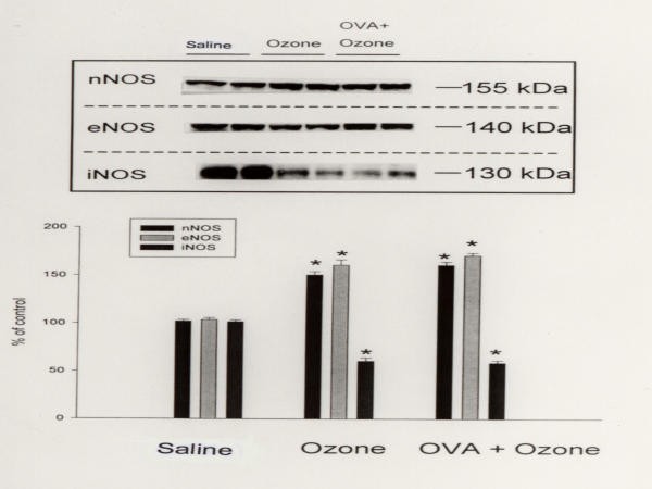 figure 2_214