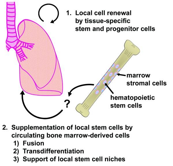 figure 4_215