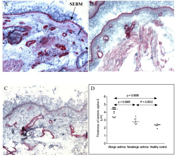 figure 2_348