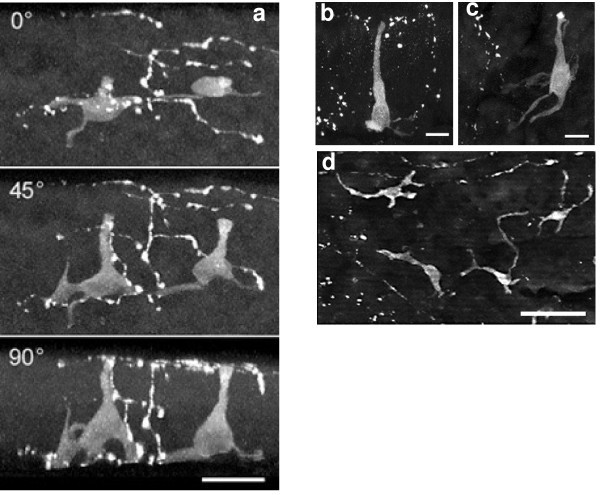 figure 2_353