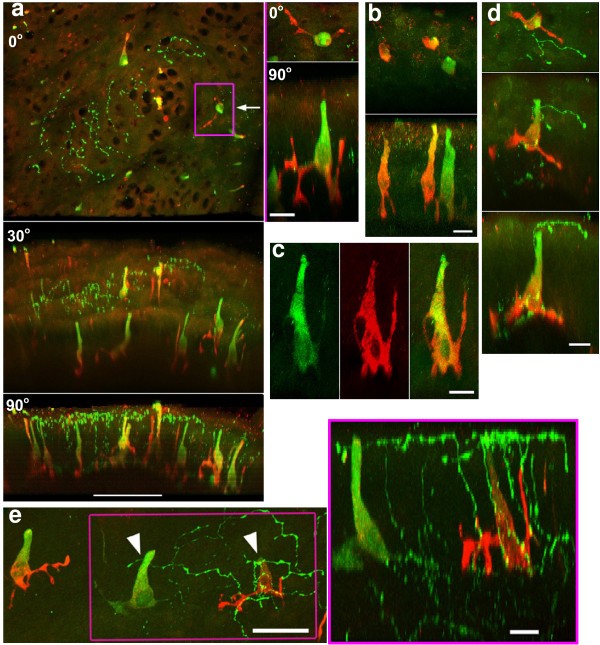 figure 3_353