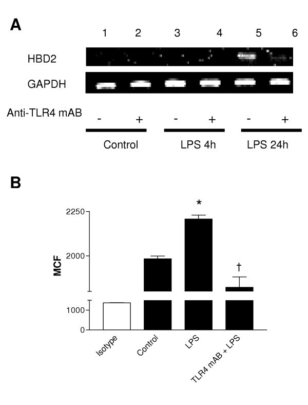 figure 3_354