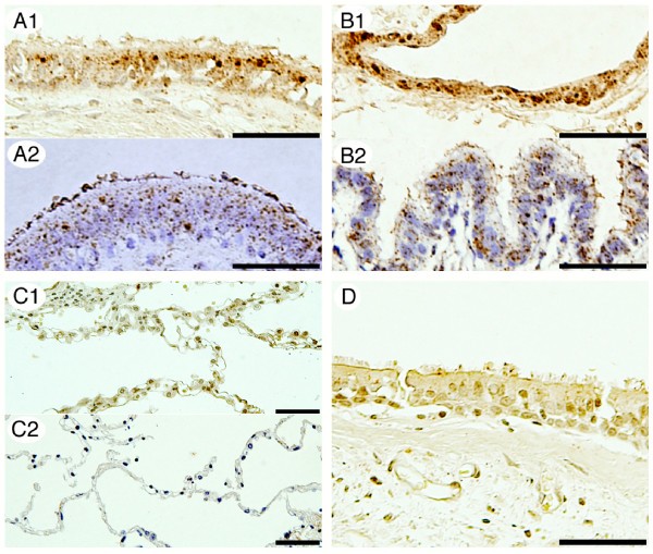 figure 2_368