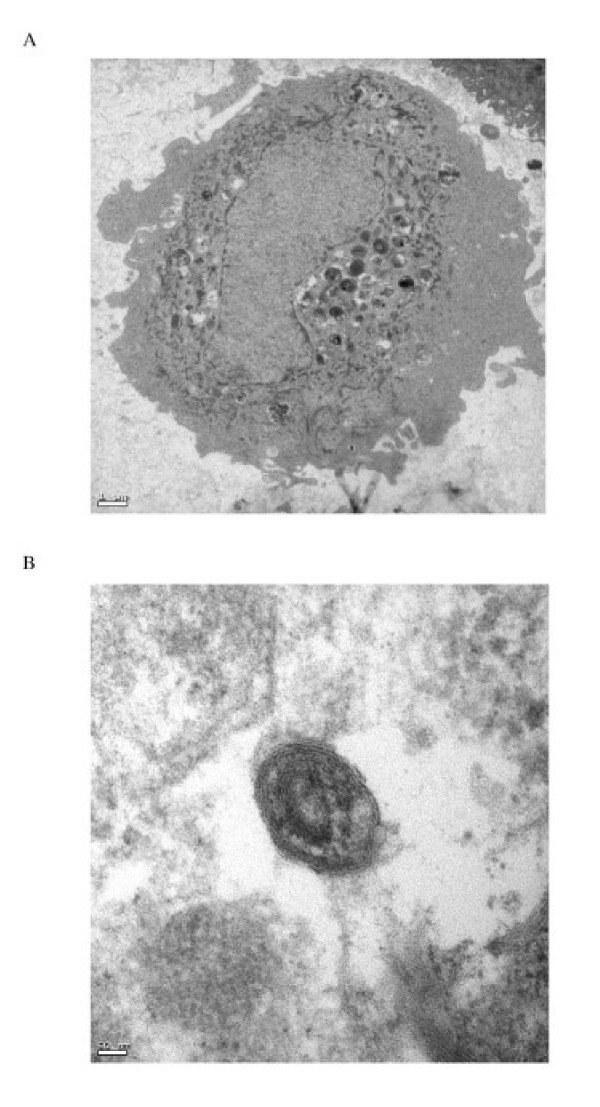 figure2_373