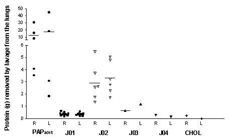 figure 1_376