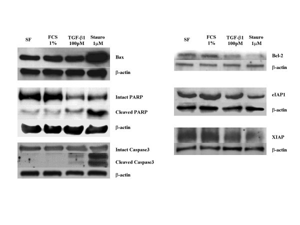 figure 6_379