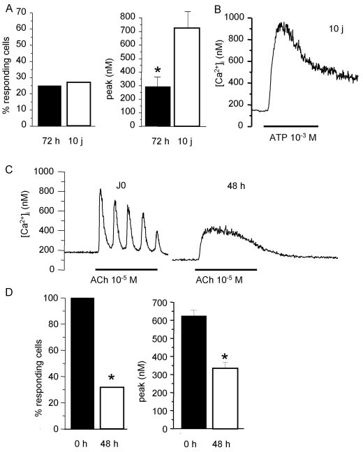 figure 4_381