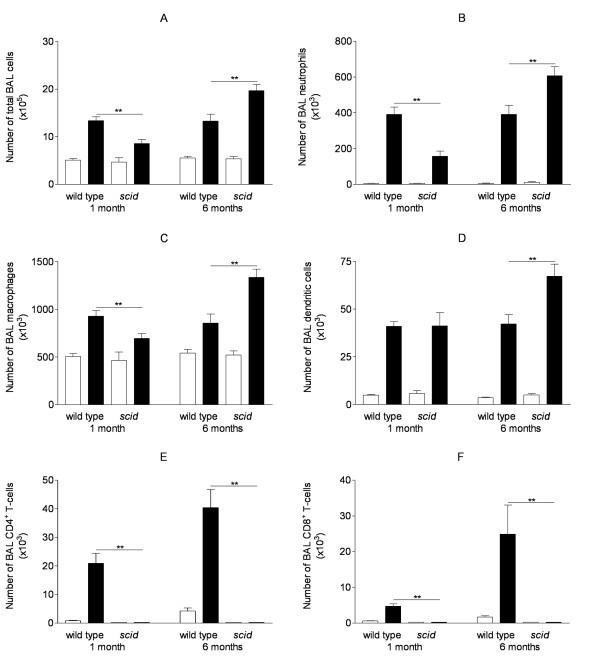 figure 1_385