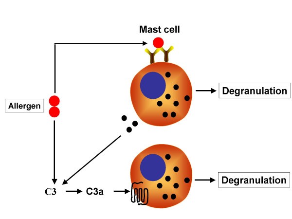 figure 2_257