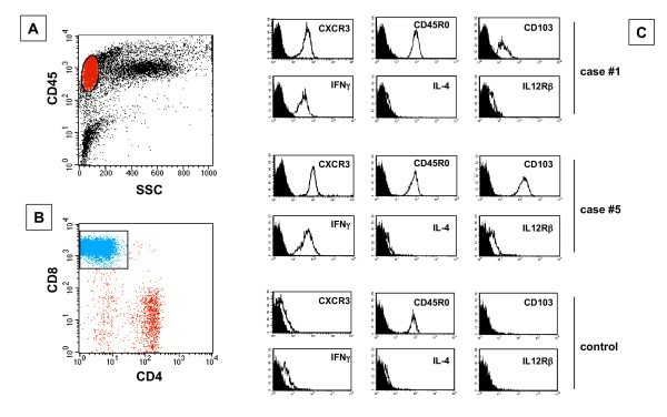 figure 4_258