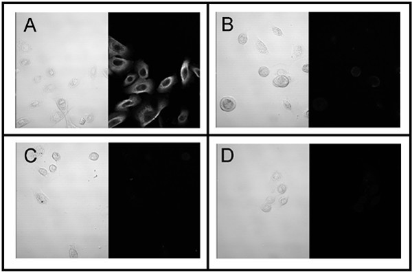 figure 2_291