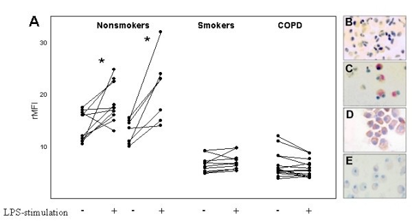 figure 3_306