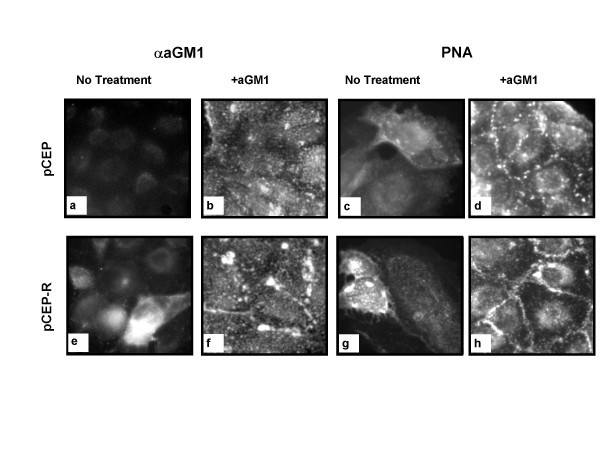 figure 2_307