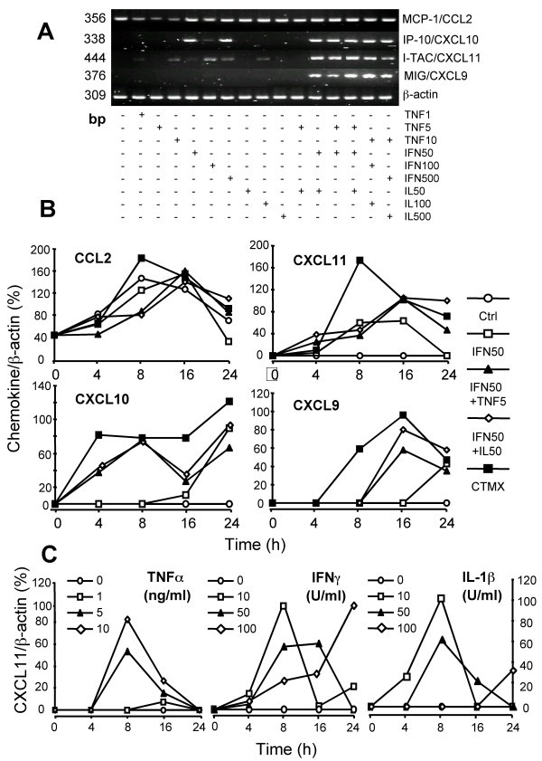 figure 1_313