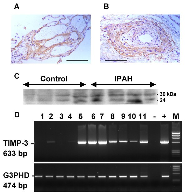 figure 2_392