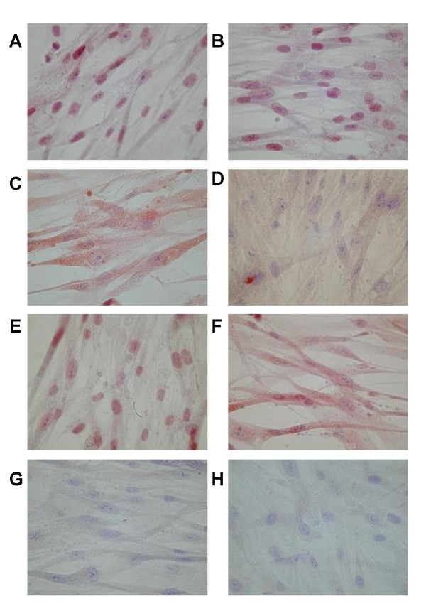 figure 3_493