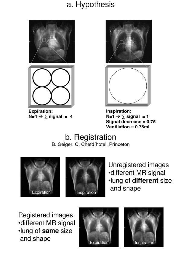 figure 1_497