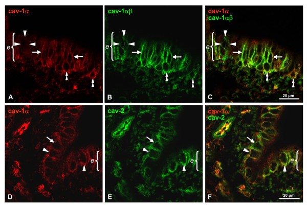 figure 4_499