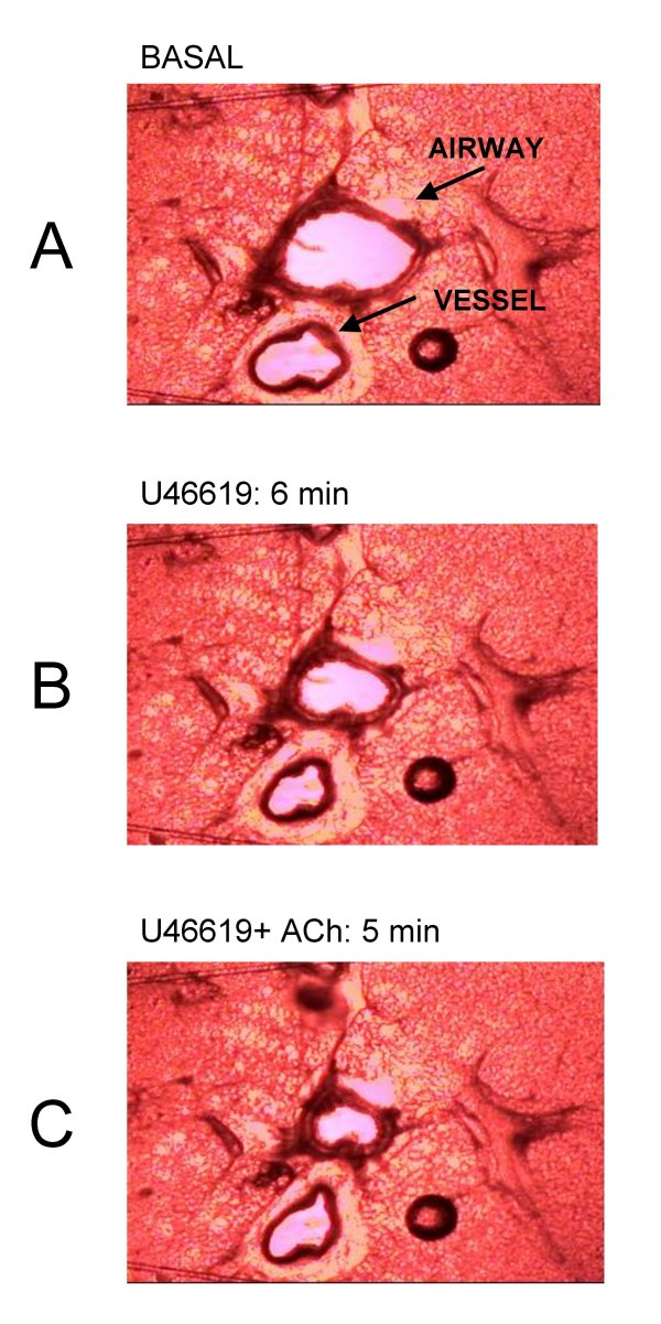 figure 1_502