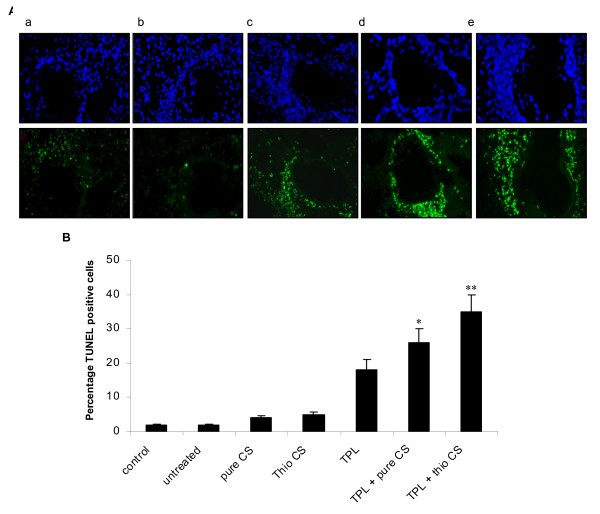 figure 5_503