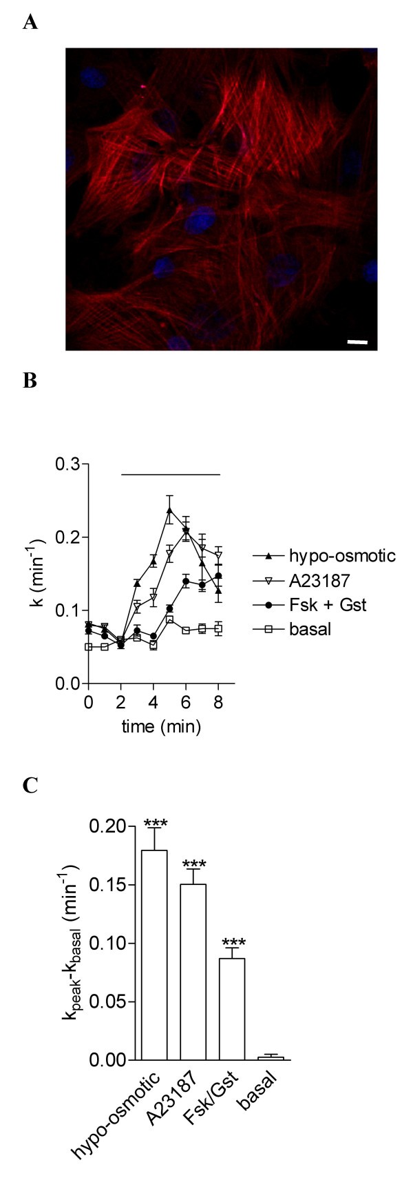 figure 1_504