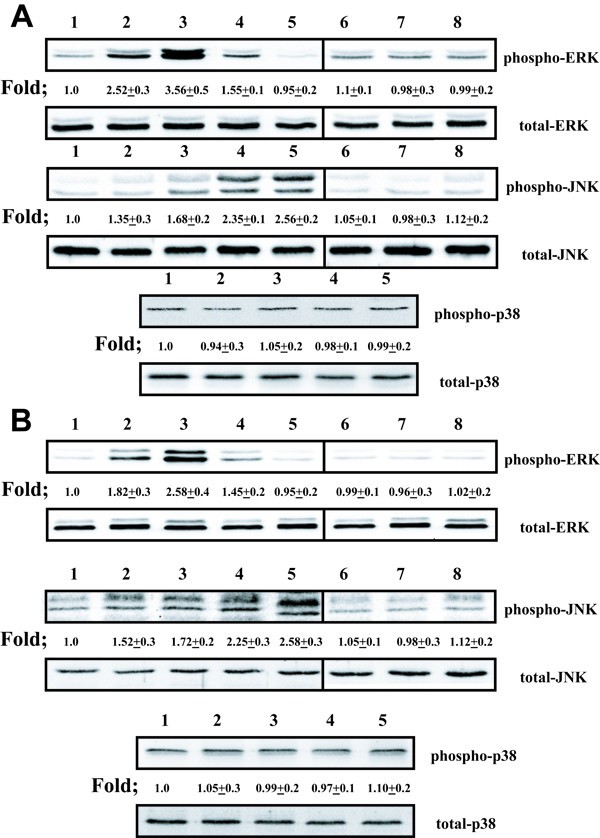 figure 1_403