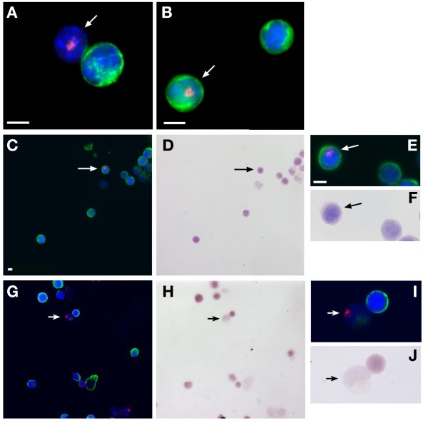 figure 3_536