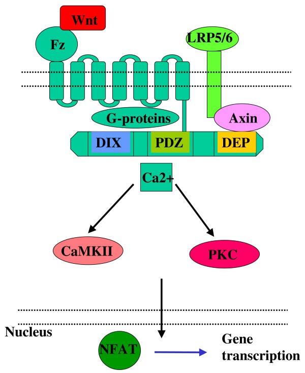 figure 3_406